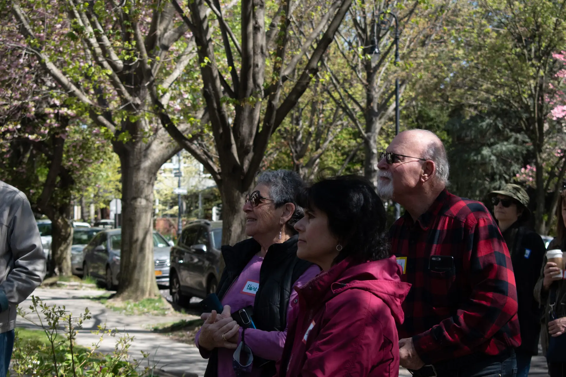 Volunteers planting a young tree on Arbor Day in Ditmas Park West